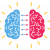 cerveau 2
